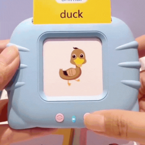 Montessori Talking Flash Cards + Musical Sound Book | Early Learning Combo for Toddlers (2–5 Years)- LetsAdore